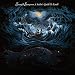 A Sailor's Guide To Earth (180 Gram Vinyl) primary