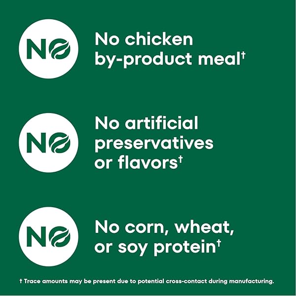 NUTRO NATURAL CHOICE CUTS IN GRAVY WET DOG FOOD, GRAIN FREE DOG FOOD WET LAMB AND BEEF RECIPES VARIETY PACK, 3.5 OZ. TRAYS (12 COUNT, PACK OF 1)