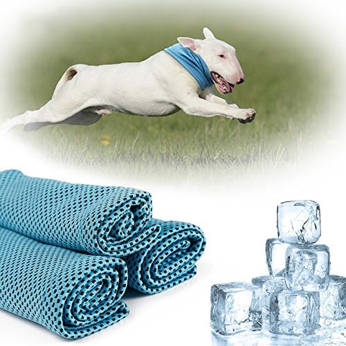 Tutuba Summer Pet Dog Instant Cooling Collar Scarf Cooling Towel Wrap For Outside Activity