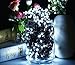 Outdoor Solar String Lights, 72ft 200 LED Fairy Waterproof Christmas Solar Lights, 8 Modes Ambiance Lighting for Halloween, Wedding, Outdoor, Homes, Party (White)