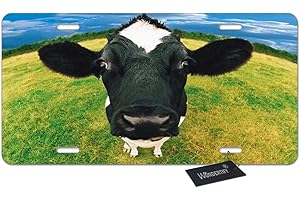 Wondertify License Plate Funny Black Cow Watching on The Grass Green Decorative Car Front License Plate,Vanity Tag,Metal Car Plate,Aluminum Novelty License Plate,6 X 12 Inch (4 Holes)
