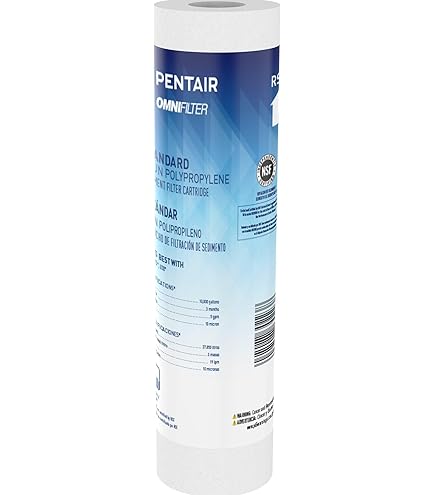 Amazon.com: Pentair OMNIFilter CB3 Carbon Water Filter, 10