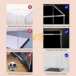 QIMOND 8 Inch Acrylic Display Case for