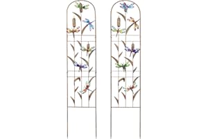 SUNNYPARK Set of 2 Dragonfly Metal Garden Trellis for Climbing Plants, Decorative Vegetables Flowers Vine Trellis for Outdoor Patio 60'' H x 11'' W