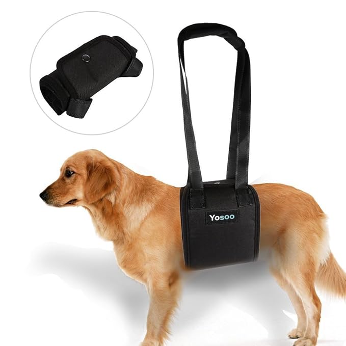 Portable Dog Lift Support Harness Helps Dog With Weak Front Or Rear Legs Stand Up, Walk, Get Portable Dog Lift Support Harness Helps Dog With Weak Front Or Rear Legs Stand Up, Walk, Get