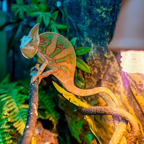 Exo Terra Repti Glo Tropical Terrarium Lamp, Compact