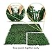 Ranka Lasting Greenery Artificial Boxwood Panels, 40