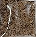 Gentian Root - 56 Grams (2 oz)
