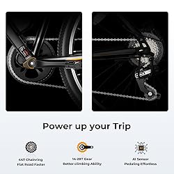 Jasion EB5 Electric Bike for Adults with Peak 500W