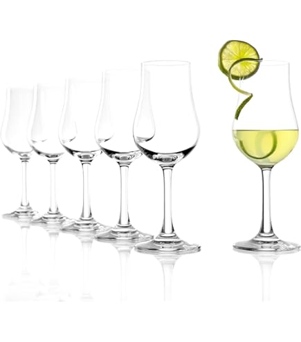 6 verres à vin ARCOROC professional neufs (Neuf avec emballage d