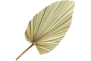 Ciieeo Natural Dried Palm Leaf Decor for Wedding Layout Large Dried Leaf Arrangement for Home Decor Beach
