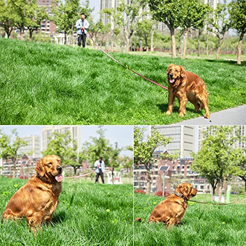 Dog Training Lead, Long Dog Leash Nylon Dog Recall Leads Long Training Dog Leash for Camping Tracking Training Obedience Backyard Play, Strong Lead Leash for Dog Comfortable Padded Handle (15m/50ft)