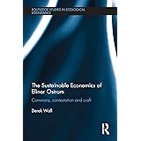The Sustainable Economics of Elinor Ostrom (Routledge Studies in Ecological Economics)