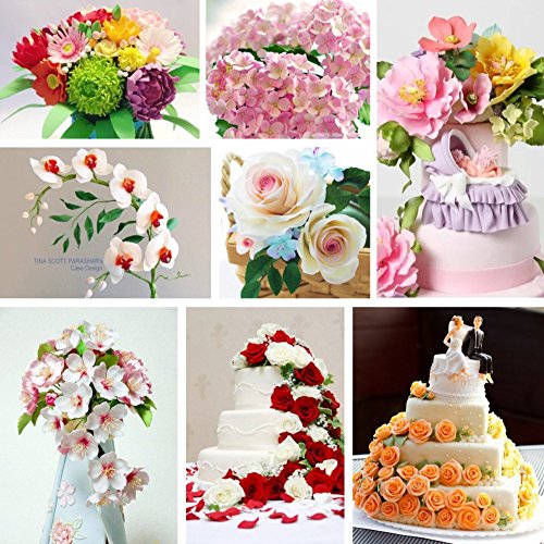 AK ART KITCHENWARE Gumpaste Flower Tools 1 Foam Pad 8 Modelling Tools 12 Pastry Brushes 1 Rolling Pin 1 Carving Knife 1 Measure Dough mat 1 Cake Smoother 4 Ball Tools 5 Sculpture Tools 1 Floral Tape