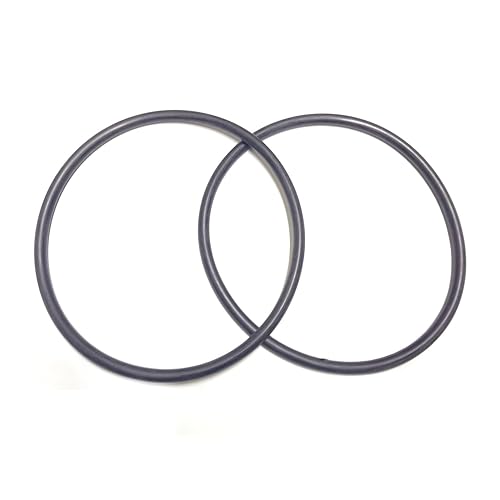 Pool Filter Gasket: Amazon.com