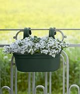 elho Green Basics Easy Hanger L 35 - 100% Recycled Plastic - 36cm view 5