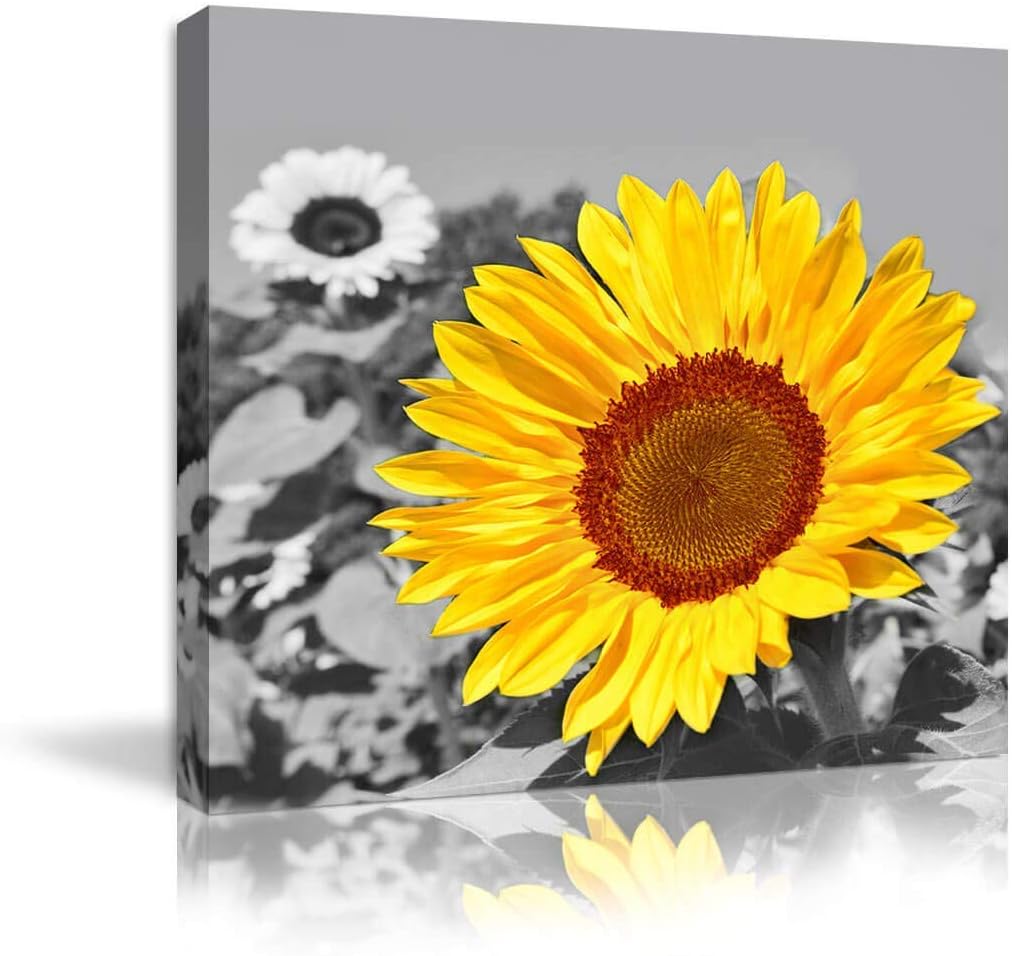 Amazon.com: Black and White Modern Home Print Bathroom Pictures Wall