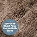 LANGRIA Set of 2 Decorative Faux Fur Cushion Covers 18x18, Soft Plush Shaggy Throw Pillow Case with Short Faux Fur and Hidden Zip Closure for Bed Sofa Couch - Filling Not Included (2-Pack, Brown)