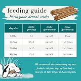 Forthglade Natural Dog Dental Sticks 4 x 185g Plant Based Grain Free view 7