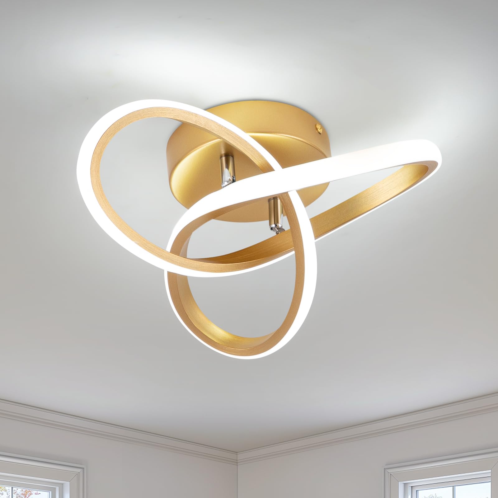 EIDISUNY LED Ceiling Light,25cm 22W Flower Shape Gold LED Ceiling Lights, 6000K Cool White Light Lamp, Modern Ceiling Lights for Living Room, Bedroom, Kitchen, Hallway, Office - Brushed Gold