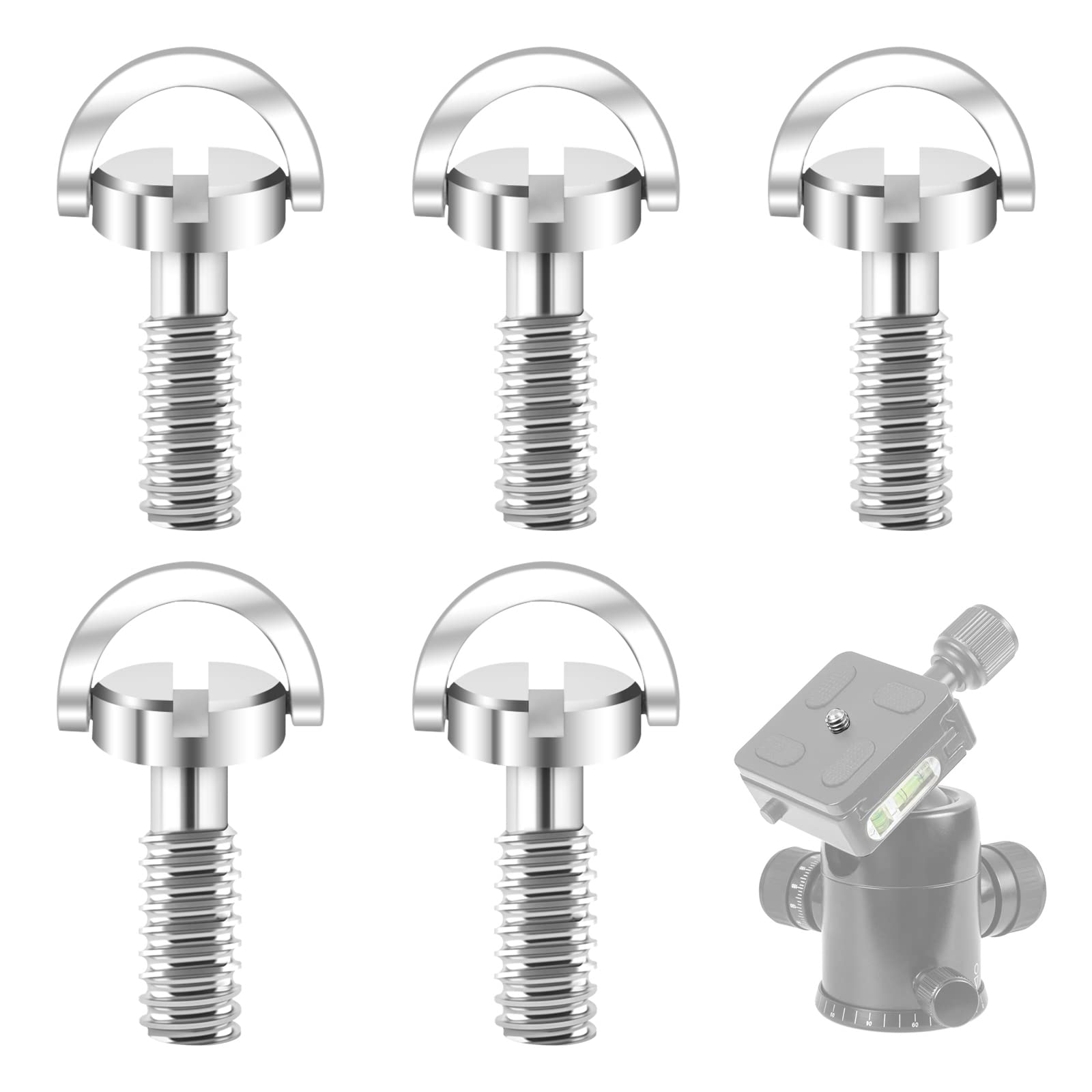 Baiyuanli Camera Mounting Screws 5Pcs Fixing 1/4 Inch D-Ring Stainless Steel Flathead Slot Screw Release for Tripod(0.83 * 0.62 inch)