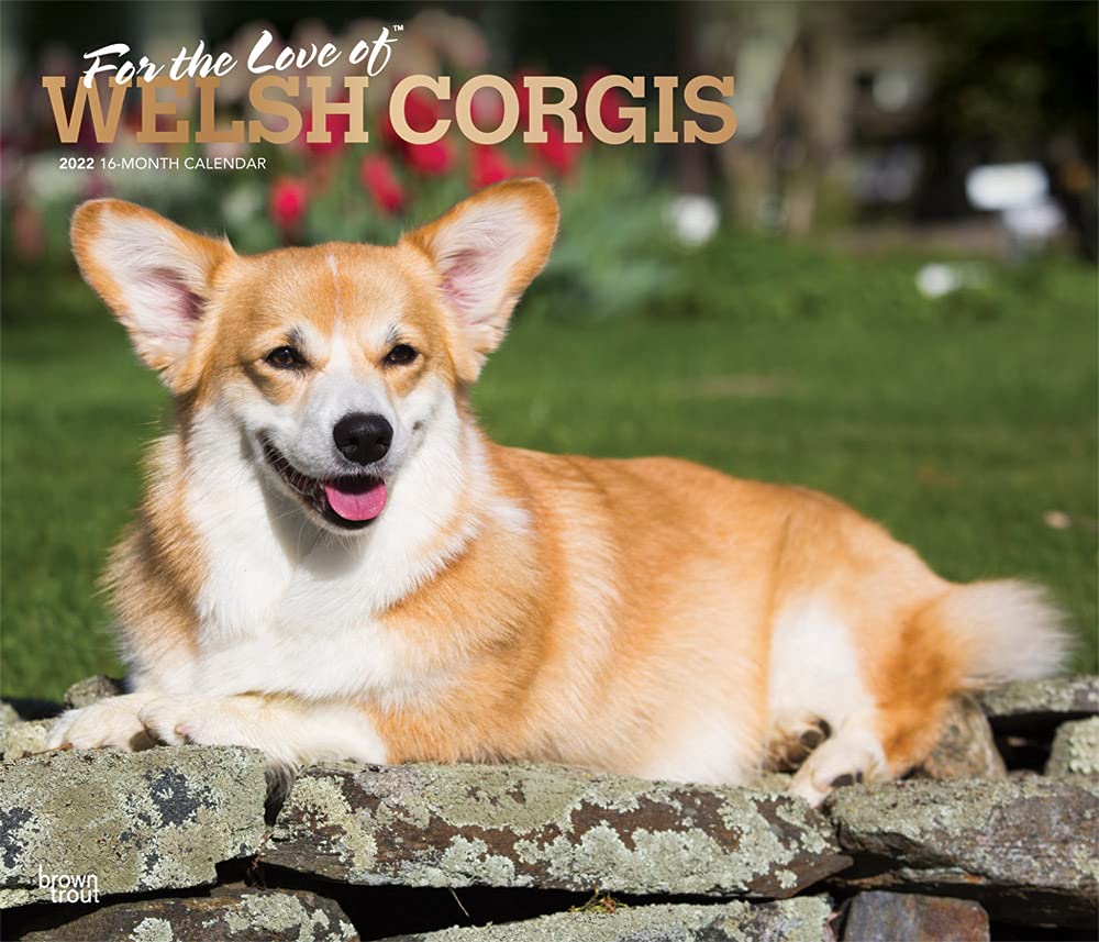 Corgi Calendar 2022 For The Love Of Welsh Corgis 2022 14 X 12 Inch Monthly Deluxe Wall Calendar  With Foil Stamped Cover, Animal Dog Breeds Dogdays: Browntrout Publishers  Inc., Browntrout Publishers Editing Team, Browntrout Publishers