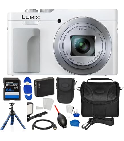 Amazon.com : Panasonic LUMIX ZS99 30x Zoom Point Compact Digital