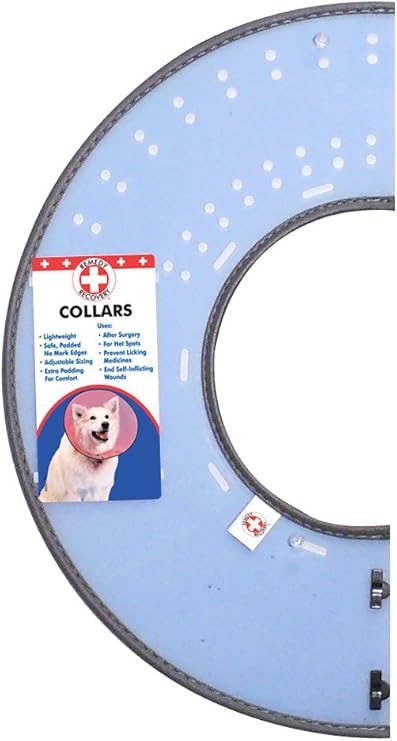 wet dog food dispenser