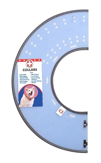 Remedy recovery e collar Clearance