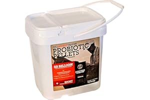 FullBucket Equine Probiotic Pellets with Saccharomyces boulardii for Horses Under High Stress or for Horses with Ongoing Digestive Issues; 20x More Concentrated and 50 Billion CFUs - 150 Servings