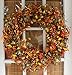 The Wreath Depot Appalachia Berry Silk Fall Door Wreath 24 inch, Handcrafted, Designed in USA, Full Wreath Shape and Size, Beautiful White Gift Box Included