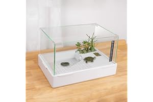 BETAZOOER Turtle-1 (Small(Glass))