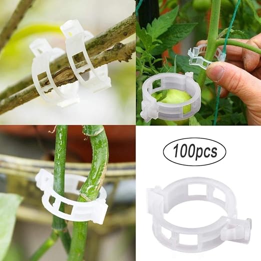 auvstar Clips de planta, Clips Cantaloupe, Clips de plástico ...