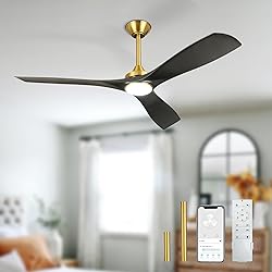 BvenuBigLite Modern Ceiling Fan with Light: Black
