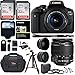 Canon EOS Rebel T6i 24.2 MP DSLR Camera, 18-55mm f/3.5-5.6 STM Lens, RitzGear HD .43x Wide Angle & 2.2X Telephoto Lenses, 48 GB SDHC Memory + 48" Tripod, 58mm Filter Kit, Bag and Accessory Bundle
