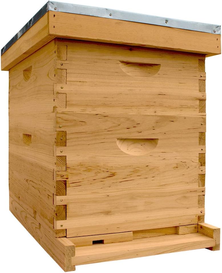 Starter Bee Hive with Frames & Wax Coated Foundations (NU8-1D1M)