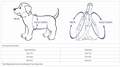 Blueberry Pet 2 Colors Soft & Comfy Step-in