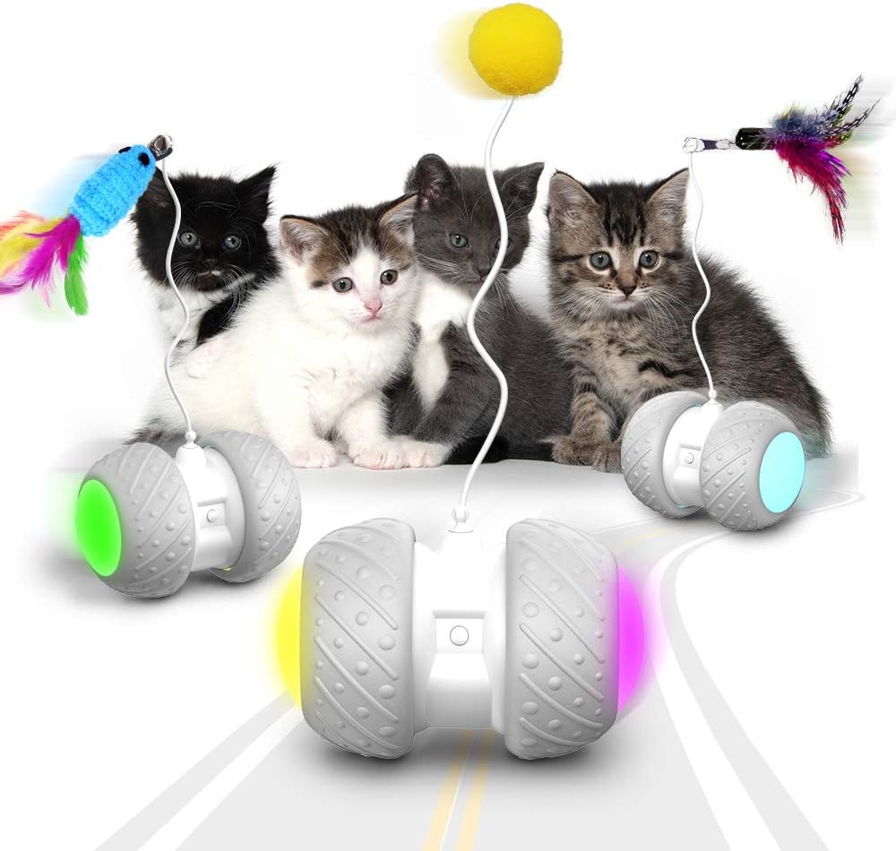 k-berho Cat Toys Interactive, Cat Toys for Indoor with Feather, Ball, Mouse and 2 Color Ribbons, Automatic Cat Toy with Irregular USB Charging 360 Degree Self Rotating Ball : Pet Supplies