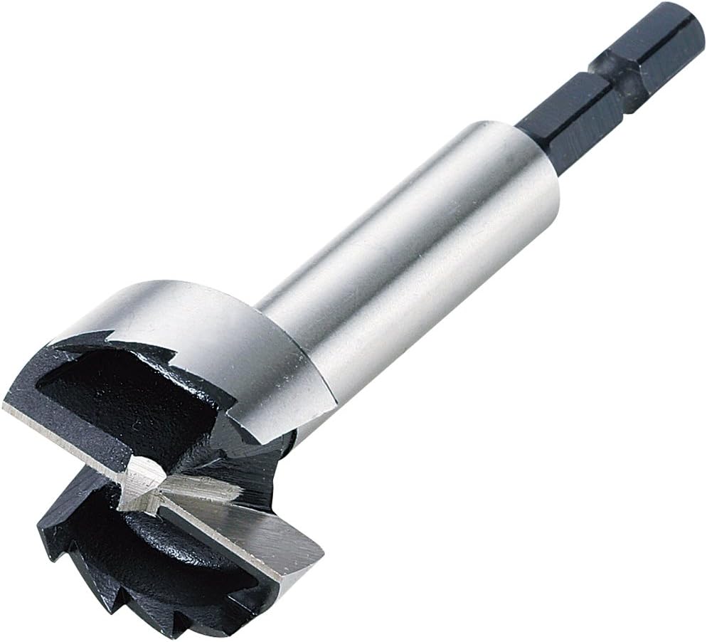 新潟精機 Sk フォスナービット F10 Fb 10 6 35mm軸 Diy 工具 ガーデン Amazon 新潟精機 Sk フォスナービット F10 Fb 10 6 35mm軸 Diy 工具 ガーデン Amazon