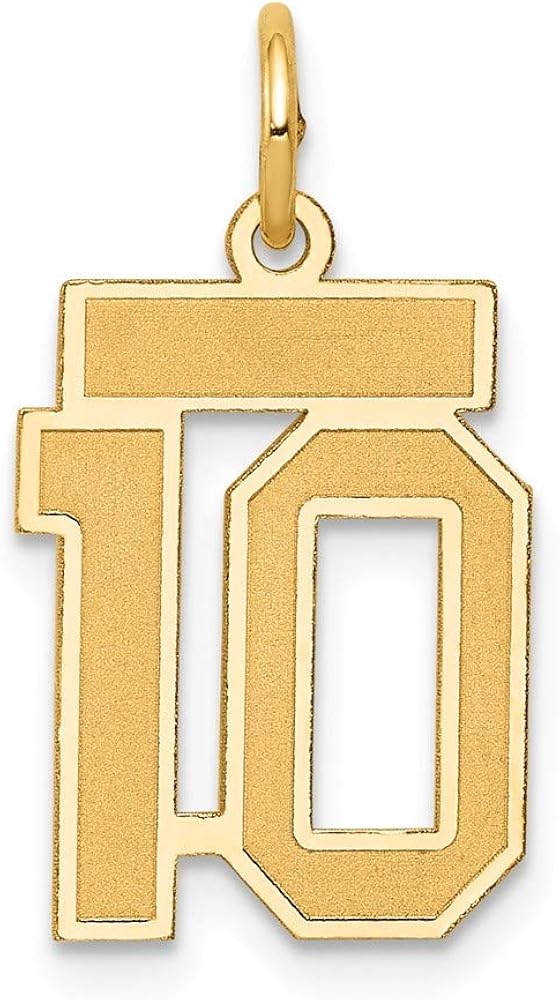 14k Yellow Gold Small Number 10 Pendant Charm Necklace