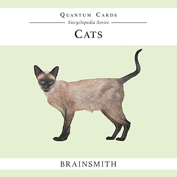 Brainsmith Quantum Flash Cards, Cats - Educational Flashcard Set for Preschool and School Kids (8 months to 8 years) for Visual and Brain Development