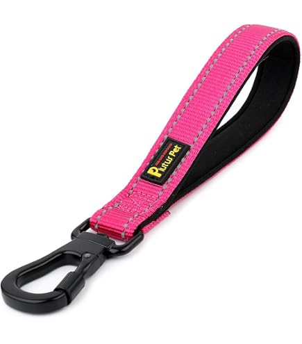 Short Dog Leash With Padded Handle - Heavy Duty Nylon - 12 Inch - Reflective Black