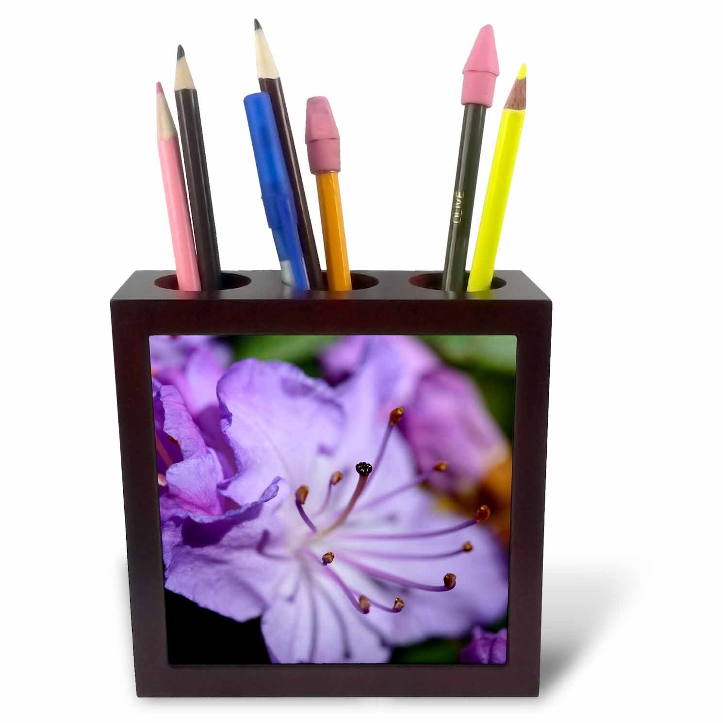 3dRose ph_231762_1 5-Inch "Close-Up of Purple Azalea" Tile Pen Holder