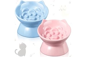 Funnymoom 2 Pcs Ceramic Elevated Slow Feeder Cat Bowl Cute Tilted Anti Vomiting Raised Cat Bowl for Dry Wet Food and Water Easy to Clean High Edge Pet for Small Dogs(Pink, Blue)