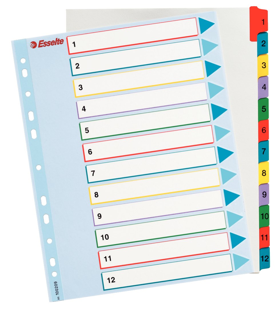 Esselte A4 12 Positions Reusable Index Divider