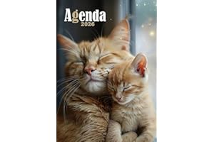 Agenda 2026: Planificateur et Organisateur Journalier A5 un jour sur 1 page | 365 jours | Couverture Chat et Chaton