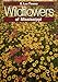 Wildflowers of Mississippi (Natural History Series) by 