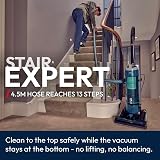 Hoover Breeze EVO Bagless Upright Vacuum Cleaner Lightweight 4.5m Hose view 4