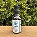 LETHE Botanical Squalane Vitamin C Serum | Sustainable Holistic Beauty | VEGAN | Transform & Repair | Cell Renewing | Well Aging | Plant Powered | Cruelty Free | Fresh Small Batch Herbalist Made |