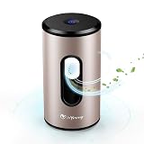 isYoung Air Purifier with True HEPA Filter